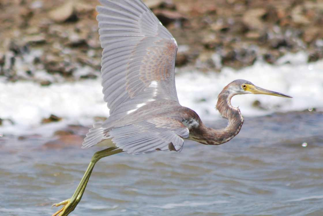 impressie-bonaire-slider-12